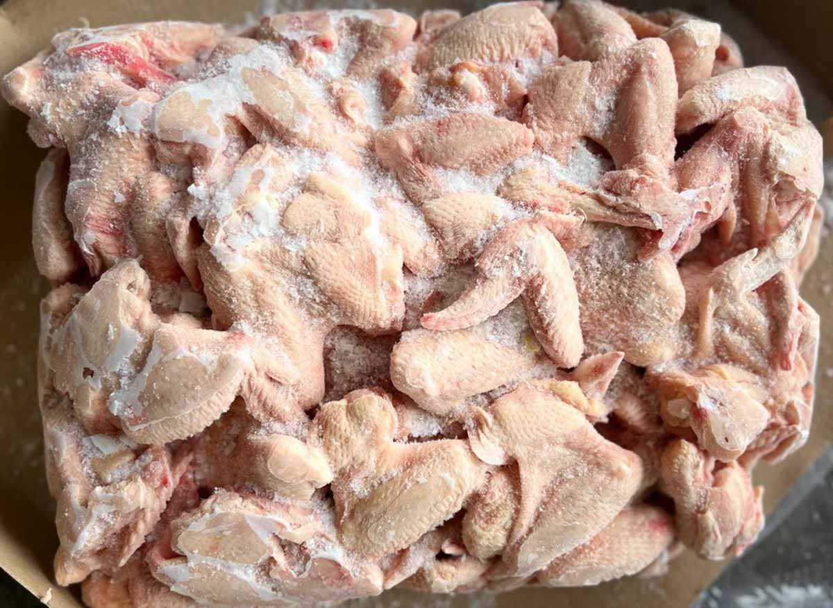  بال مرغ 