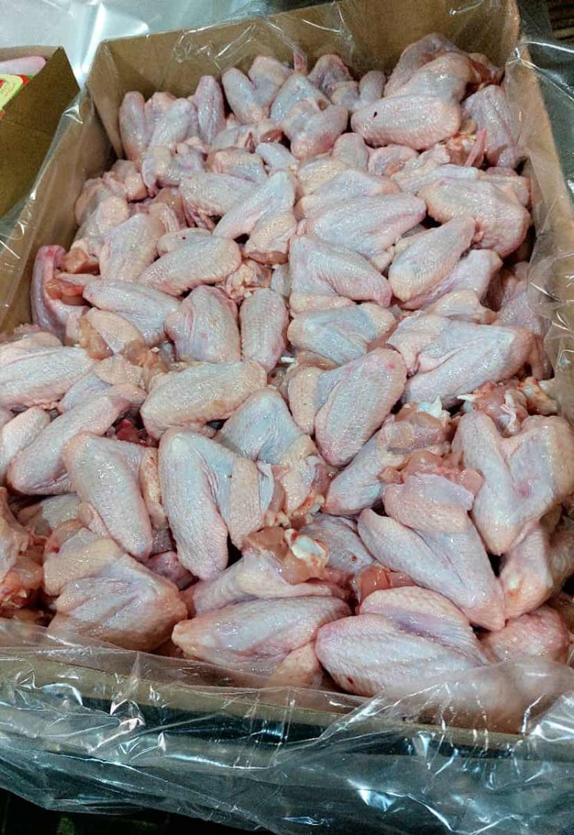  بال مرغ 