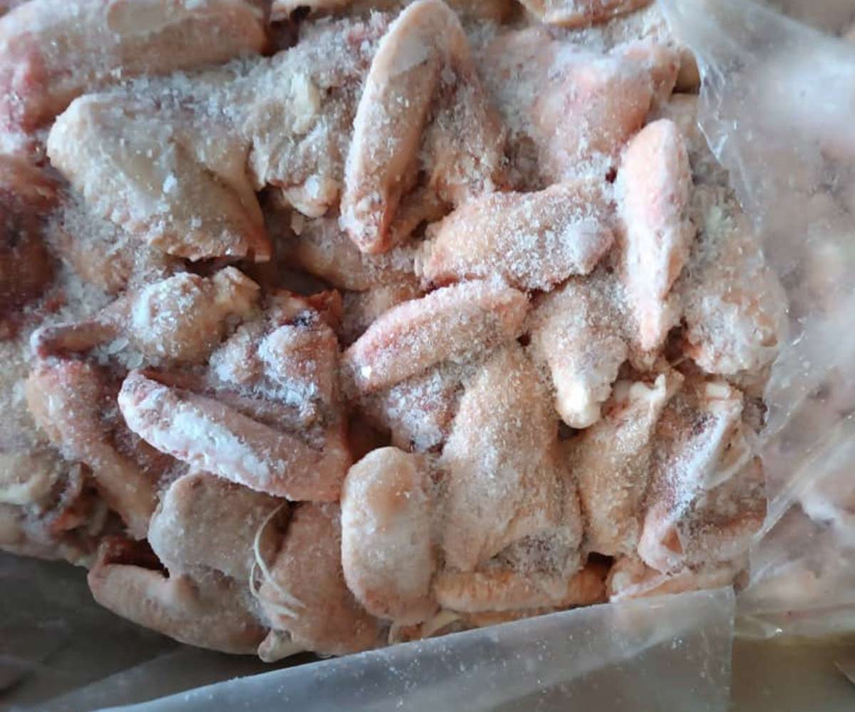  بال مرغ 