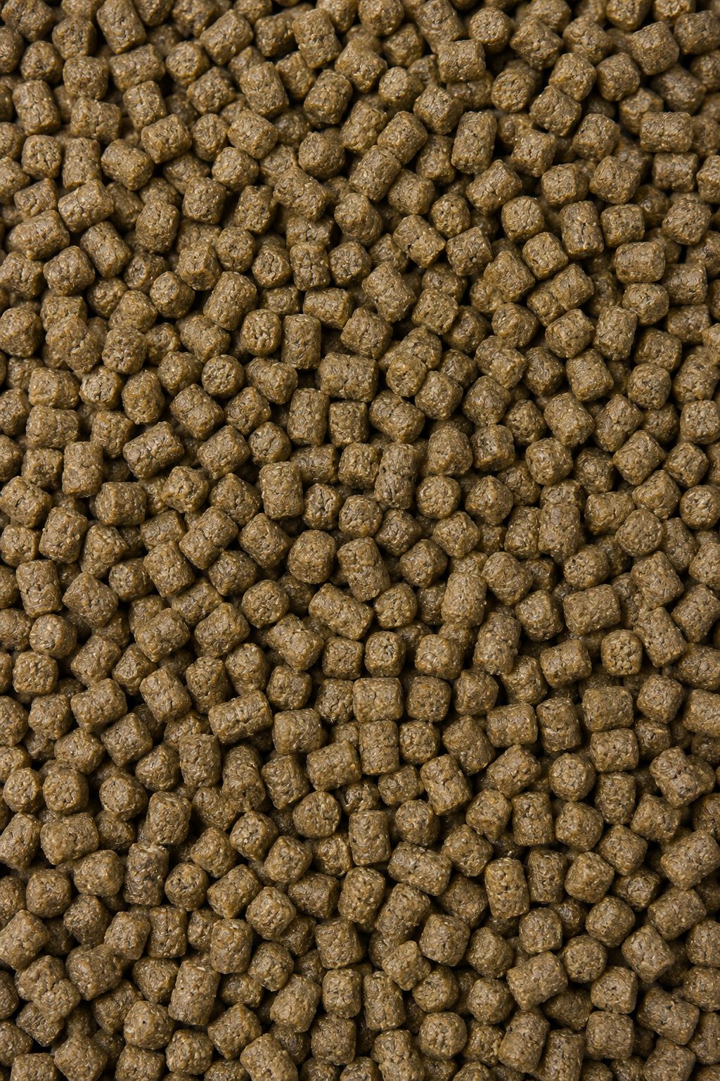 خوراک ماهی خاویاری