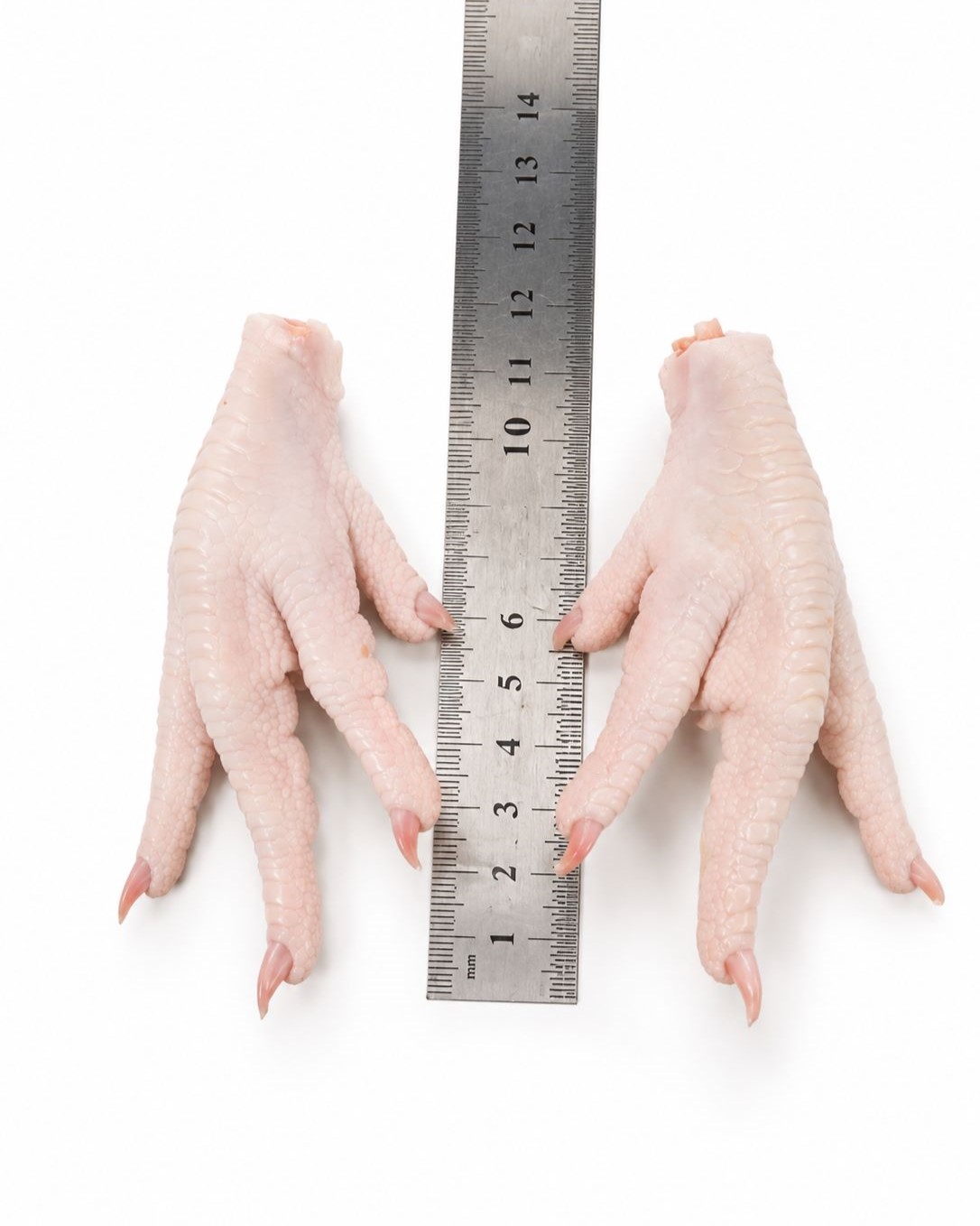 پنجه ی مرغ